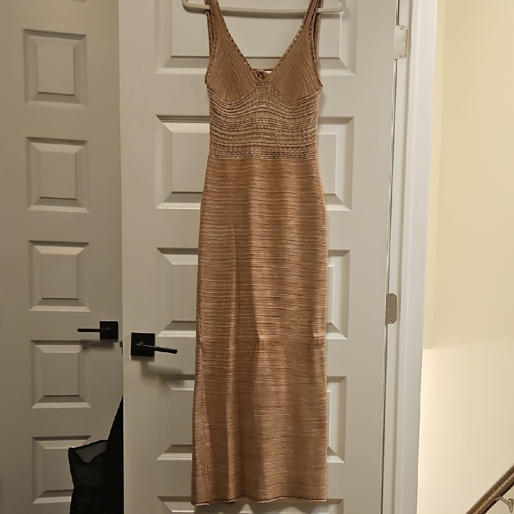 Torn by Ronny Kobo Tan Maxi Dress